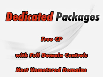 Economical dedicated hosting servers plans